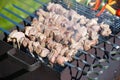 Grilling marinated shashlik on a grill Royalty Free Stock Photo