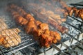 Grilling marinated shashlik on a grill. Shashlik is a form of Shish kebab Royalty Free Stock Photo