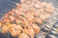 Grilling marinated shashlik on grill. Royalty Free Stock Photo