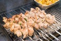 Grilling marinated shashlik on grill. Royalty Free Stock Photo