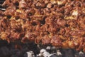 Grilling marinated shashlik on a grill. Royalty Free Stock Photo
