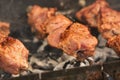 Grilling marinated shashlik on a grill. Shashlik is a form of Shish kebab popular in Eastern, Central Europe Royalty Free Stock Photo