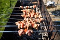 Grilling marinated shashlik on a grill. Shashlik is a form of Shish kebab popular in Eastern, Central Europe and other places. Royalty Free Stock Photo