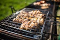 Grilling marinated shashlik on a grill. Shashlik is a form of Shish kebab popular in Eastern, Central Europe and other places. Royalty Free Stock Photo