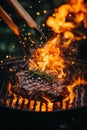 Grilling meat. Close-up of grilled meat in flames. Barbecue. Royalty Free Stock Photo