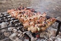 Grilling meat on skewers. Cooking meat barbecue on charcoal grill at picnic. Royalty Free Stock Photo
