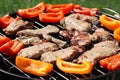 Grilling meat and vegetables Royalty Free Stock Photo