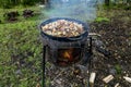 Grilling on the open fire the food in the forest