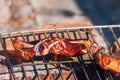 Grilling pork chops on the fire outside Royalty Free Stock Photo