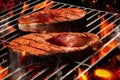 Grilling process of preparing salmon steaks. Meat roasted on metal barbecue grill with flaming fire, smoke and ember Royalty Free Stock Photo