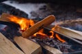 Grilling sausage over a campfire in winter, Repovesi National Park ,Finland