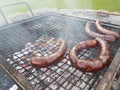 Grilling sausages on the grill. Frying food on charcoal and on fire. Fatty food. Calories and energy for muscles. Picnic on the st Royalty Free Stock Photo