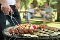 Grilling sausages and vegetables Royalty Free Stock Photo