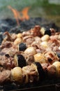 Grilling shashlik on barbecue grill. Royalty Free Stock Photo