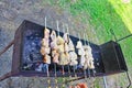 Grilling shashlik on barbecue grill. Royalty Free Stock Photo