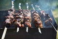 Grilling shashlik on barbecue grill Royalty Free Stock Photo