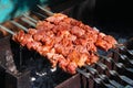Grilling skewers or shashlik on barbecue grill. Selective focus Royalty Free Stock Photo