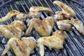 Grilling spicy chicken wings on barbecue grill. Royalty Free Stock Photo