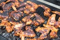 Grilling spicy chicken wings on barbecue grill Royalty Free Stock Photo