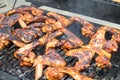 Grilling spicy chicken wings on barbecue grill Royalty Free Stock Photo