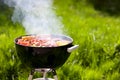 Grilling at summer weekend Royalty Free Stock Photo