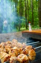 Grilling summer weekend Royalty Free Stock Photo