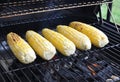 Grilling sweet corns