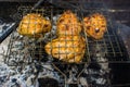 Grilling time. Grill, garden, green grass and good weather. Royalty Free Stock Photo