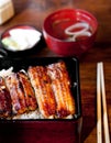 Grilling Unagi eel for Japanese Unagi donburi rice recipe