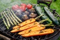 Grilling vegetables with the addition of spices and herbs on the grill plate outdoors.