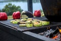 Grilling vegetables on fire Royalty Free Stock Photo