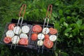 Grilling vegetables Royalty Free Stock Photo