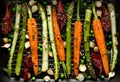 Grilling vegetables, raw vegetables prepared for grilling with the addition of olive oil, herbs and spices located on the grill pl Royalty Free Stock Photo