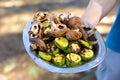 Grilling vegetables. Summer picnic outdoors Royalty Free Stock Photo