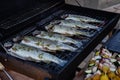 Grilling whole fishes on grate in garden. Grilled marinated fresh trouts over the charcoals on barbecue grill on summer time Royalty Free Stock Photo