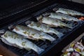 Grilling whole fishes on grate in garden. Grilled marinated fresh trouts over the charcoals on barbecue grill on summer time Royalty Free Stock Photo