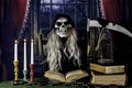 Grimm reaper reading book with black raven Royalty Free Stock Photo