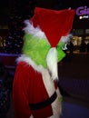 The Grinch at the Christmas Festival