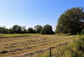 On the island of Grinda in the Stockholm archipelago Royalty Free Stock Photo