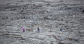 A unique natural attraction. People are walking over the new lavafield of the volcano eruption Royalty Free Stock Photo