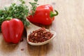 Grinded sweet paprika Royalty Free Stock Photo