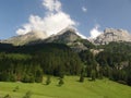 Grindelwal Wilderness Scene