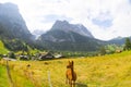 Grindelwald, Bernese Oberland, Switzerland, Europe Royalty Free Stock Photo