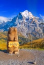 Grindelwald, Switzerland marmot statue, mountains