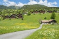 Idyllic landscape of Swiss Royalty Free Stock Photo