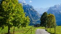 Grindelwald village , Switzerland Royalty Free Stock Photo