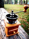 The grinder, coffee beans are placed on a log, in the pine forest Royalty Free Stock Photo