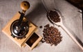 Grinder with Roasted Coffee Beans and Wood Spoon Royalty Free Stock Photo