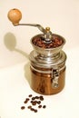 Grinding fresh roasted coffee beans Royalty Free Stock Photo