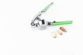 Grinding hard shell crab tool, crushed garlic tool isolate Royalty Free Stock Photo
